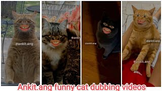 Ankit.ang funny cat dubbing videos part- 1😂😂 || Ankit rajput trending funny reels videos ||