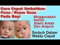 CARA MENGHILANGKAN PANU ATAU RUAM SUSU #CaraHilangkanPanu #Ruamsusu #Padabayi