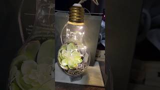 Dollar Tree DIY Decor -  Terrarium  #diy #dollartree #terrarium