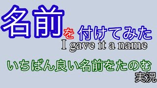 【いちばん良い名前をたのむ】名前を付けてみた。