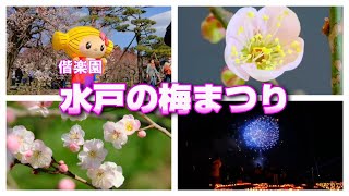 2023水戸の梅まつり ＆ 花火【偕楽園】夜梅祭 第二夜（茨城県水戸市）