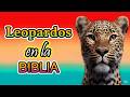 📜 LEOPARDO en la Biblia 🐆  Significado y Simbolismo 🐆