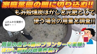 【もみ殻燻炭ぼかし】元肥としての用量を誰も言わないので自ら実験!!4種の用量で違いがはっきり分かります!!【ぼかし肥料】【家庭菜園】【園芸】【実験】【トマト栽培】【分量】