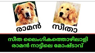 സീത ലൈംഗിക തൊഴിലാളി😠രാമൻ മോഷ്ടാവ്🤪ആർക്കെങ്കിലും കുരു പൊട്ടുന്നുണ്ടോടാ🙄