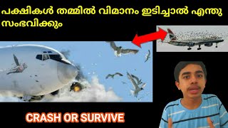 വിമാനം പക്ഷിയെ ഇടിച്ചാൽ എന്തു സംഭവിക്കും | What will happen when a Flight hit on a bird | Malayalam