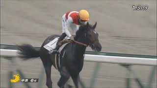 第43回　新潟2歳S 　 芝1600m (左 外)　参考レース　2023.8.27　　出走予定馬：アスコリピチェーノ、ルージュスタニング、エンヤラヴフェイス、ヴァンヴィーヴ、ヒヒーン、ルクスノア他