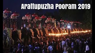 Arattupuzha Pooram 2019 | Traditional Pooram Kerala | ആറാട്ടുപുഴ പൂരം 2019