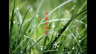 Clubhouse『聲音的力量』-節氣的樂章 |  好雨春芽鴻雁來 |  雨水與春瘟