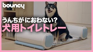 犬のフンがニオイゼロ？犬用トイレトレー「POOPOUT」