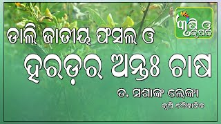 ଡାଲି ଜାତୀୟ ଫସଲ ଓ ହରଡର ଅନ୍ତଃ ଫସଲ