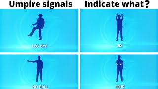 what is umpire signals indicate | which signals indicate what | cricket umpire signals