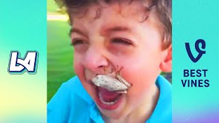 Try Not To Laugh Funny Videos - Bad Fails Make You Laugh All Day