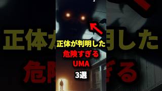 正体が判明した危険すぎるUMA3選 #都市伝説 #ホラー #雑学