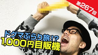 1000円自販機に挑戦！Vol.267 ドグチューーブ 第566回