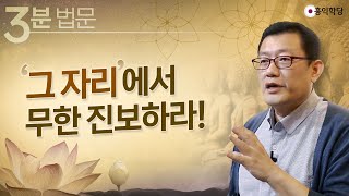 [3분 법문] '그 자리'에서 무한 진보하라! _홍익학당