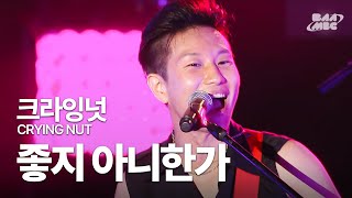 크라잉넛(Crying Nut) - 좋지 아니한가 @부산국제락페스티벌 2018