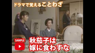 ことわざ実用編ドラマ「夢、その遠き果てに」鈴木健二氏による解説「秋茄子は嫁に食わすな」