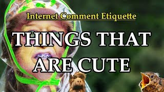 Internet Comment Etiquette: "Things That are Cute!"