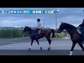 【世界最強馬、宝塚記念へ】こんなウマ、栗東トレセンで見かけました《東スポ競馬》