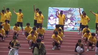 新潟青陵高等学校 第53回体育祭応援合戦 4連合（黄連合）