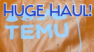 Huge $60 TEMU Haul!! Molds, Stickers, Miniatures, Home Decor