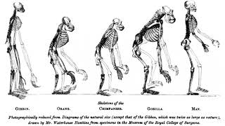 Bioinformatician | Wikipedia audio article