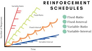 What are the Reinforcement Schedules in Operant Conditioning?