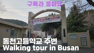 동천고등학교주변#대연사#진달래 #walkingtour#Busan#대한민국🇰🇷