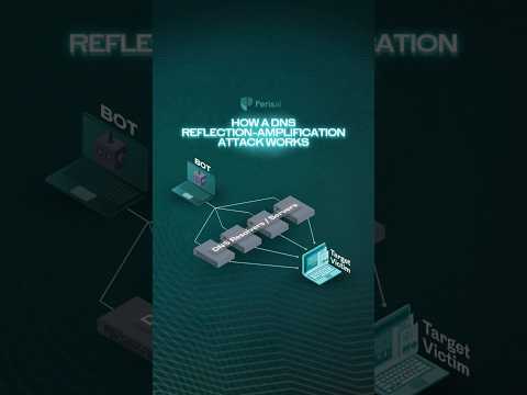 DNS reflection amplification attacks