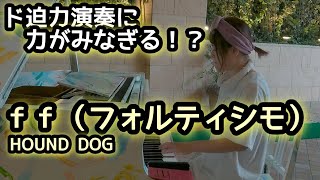 ド迫力演奏響き渡る！ｆｆ（フォルティシモ）HOUND DOG【ニューオーサカホテル心斎橋ストリートピアノ】