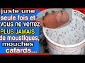 Si vous mettez ceci dans votre maison 1h plus tard vous ne verrez+JAMAIS DE MOUSTIQUE, CAFARD&MOUCHE