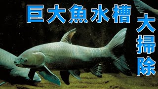 巨大魚水槽を掃除せよ！