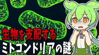 ミトコンドリアと真核生物の起源【ずんだもん解説】