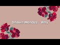 Shawn Mendes - Why { lyrics }