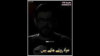 Mola Rotay Jatay Hain_Mir Hasan Mir New Noha and Crying Imam Ali as Status By KarbaLa 72#shorts