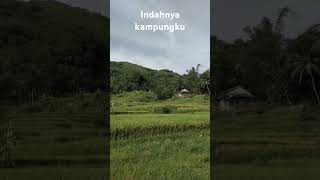 Indahnya kampungku