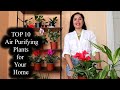 TOP 10 Air Purifying Plants You NEED For Your Home | Tips | by NASA