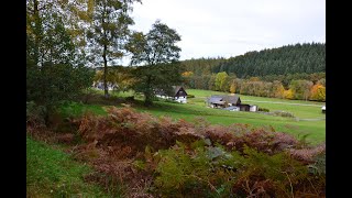 Kurze Herbstwanderung x Sauerland Waldroute x Zwischen Neuhaus und Wilhelmsruh x 18.10.24