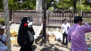 くまモン､車に飛び乗る♪＠日比谷公園（東京）2015/05/10