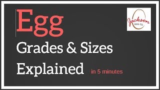 Egg Grades \u0026 Sizes Explained in 5 Minutes