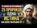 From Adam to Muhammad: How Allah Revealed the Truth to Humanity Through 25 Prophets