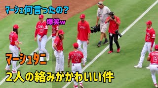 マーシュ、大谷さんに何言ったの？ めっちゃ笑顔の大谷選手 マーシュタニの絡みがかわいい件  Shohei Ohtani  Brandon Marsh  Angels  大谷翔平