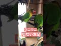 一瞬のウニウニも見逃さないカイヌシ