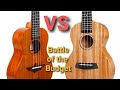 Aklot Concert Ukulele VS Enya concert ukulele