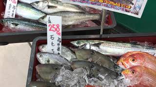 名古屋市御器所　食品スーパー 鮮魚　漁港市