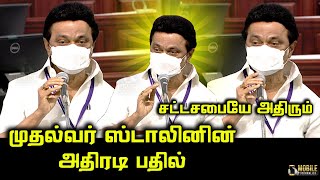 CM MK Stalin Blast Reply at Assembly | DMK vs ADMK | Today TN Assembly