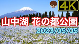 4K 花の都公園　山中湖に行ったら立ち寄りませんか【山梨】5/5撮影