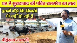 Ramganga || Moradabad Ramganga || River || रामगंगा नदी मुरादाबाद || Ramganga Bridge || Anokhe Manzar