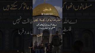 Palestine|🙏 Pray for Palestine|karam mangta hoon|#gaza #viral #palestine #shortsfeed #ytshorts #com