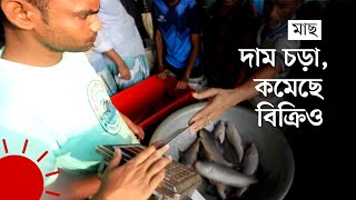 ভরা বর্ষায় বৃষ্টির দেখা নেই , আড়তে মাছের আকাল | Fish Crisis